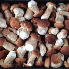 mushrooms_fresh